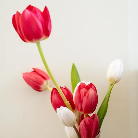 Fleur By Klodge Olbia